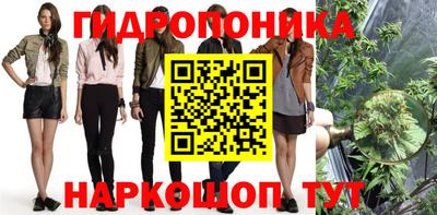 spice Обь